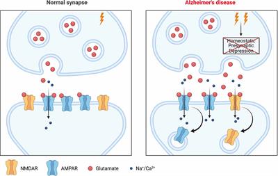 Friend or Foe? The Varied Faces of Homeostatic Synaptic Plasticity in Neurodegenerative Disease